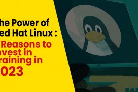 Red Hat Linux Training